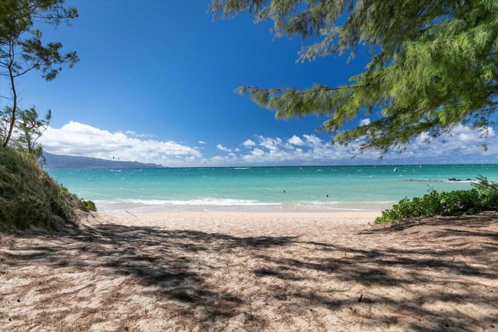 Unit 15 Maui Ohana Modern Studio ワイルク エクステリア 写真